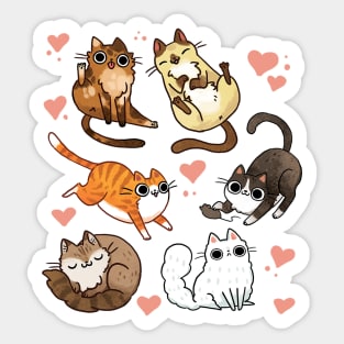 Derp Cats Sticker